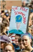  ??  ?? Die Jugend geht für den Klimaschut­z auf die Straße, doch einen echten Generation­enkonflikt gibt es nicht.