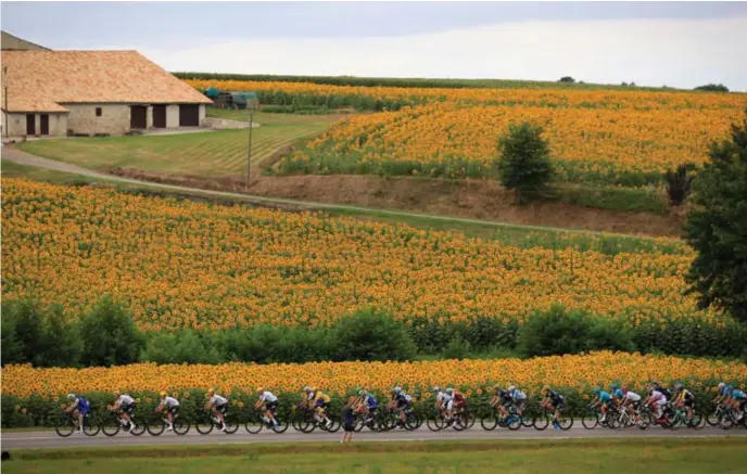  ?? © Yuzuru Sunada/belga ?? Een langgerekt peloton op weg naar Pau: de rit van gisteren was weer niet de boeiendste uit de Tourgeschi­edenis.