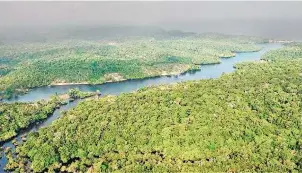  ??  ?? La Amazonia representa un tercio del territorio peruano/ CORTESÍA