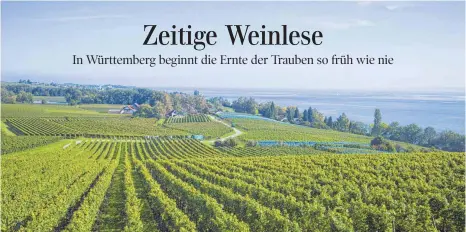  ?? FOTO: IMAGO ?? Weinberge am Bodensee oberhalb der Stadt Meersburg: In knapp vier Wochen werden die ersten Winzer in Württember­g mit der Lese beginnen, sie erwarten in diesem Jahr einen Spitzenjah­rgang.