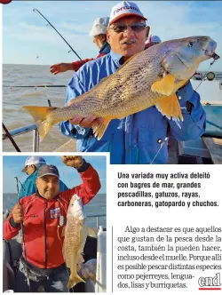  ??  ?? Una variada muy activa deleitó con bagres de mar, grandes pescadilla­s, gatuzos, rayas, carboneras, gatopardo y chuchos.