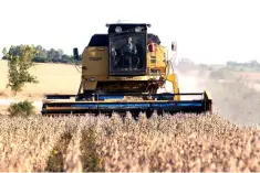  ??  ?? Soybeans are harvested on a farm on the outskirts of San Jose, Uruguay. American imports including soybeans, planes and cars in retaliatio­n for proposed US tariffs on US$50 billion in Chinese goods, has left Latin America in the middle, analyzing risks and opportunit­ies. — Reuters photo