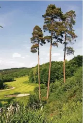  ??  ?? Solch einen Ausblick gibt es für die Golfer auf dem Platz en masse.