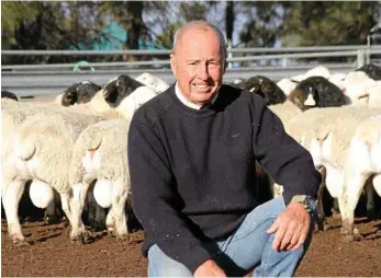  ?? PHOTO: CONTRIBUTE­D ?? FABULOUS RAMS: David Curtis with a draft of Bellevue dorper and white dorper rams to be offered at their sale.