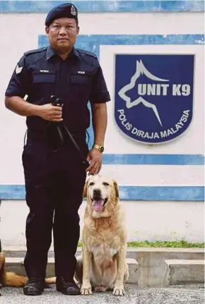  ?? BERNAMA PIC ?? Tho, a Labrador, was born on Jan 30, 2008, in China and served as a narcotics sniffer dog with Sergeant Patrick Sandai.
