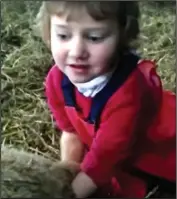  ??  ?? Young farmer: Her mother’s video of Lilly delivering a lamb by herself last month