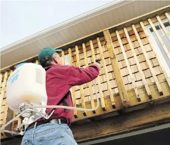  ?? ROBERT MAXWELL ?? One-time, water-based treatments are the fastest and easiest way to improve the colour of outdoor wood. Here, Steve Maxwell sprays Eco Wood Treatment onto a pressure-treated deck and railing.