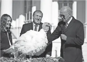  ?? ANDREW HARNIK/AP ?? President Joe Biden pardons Chocolate, the national Thanksgivi­ng turkey, Monday at the White House. He also pardoned an alternate turkey, Chip. Both are named after Biden’s favorite ice cream flavor. After the pardon, Chocolate and Chip, were set to live the rest of their lives on the campus of North Carolina State University.