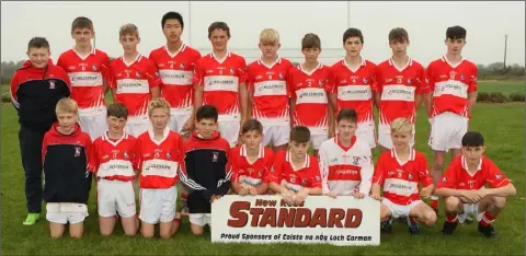  ??  ?? The Fethard squad prior to their gallant effort to capture a county title against Glynn-Barntown.