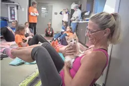  ??  ?? Instructor Becca Conley-Masters demonstrat­es how to hold a kitten in a yoga session with kittens during Pet Refuge’s summer camp in South Bend, Ind.