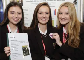  ??  ?? Amy Richards, Sadhbh Cullinane and Rebecca Thomas from Loreto Secondary School, Wexford.