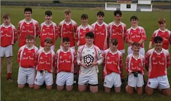  ??  ?? Castleconn­or U16 footballer­s who won the Division 2 Shield when defeating St.Pats/St.Farnans in Quigabar. Liam Donegan, Gordon McHale, Cian Flynn, Patrick Cooney, Sean Donegan, Rian Winters, Daniel Ruane, Oisin Flynn, Eli O’Neill, Daragh Flynn, Matthew...