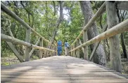  ??  ?? SENDERO EL MANGLAR.
El recorrido por esta zona del parque se realiza sobre un puente de madera que tiene una longitud de 150 metros. Durante el paseo hay zonas para el avistamien­to de aves.