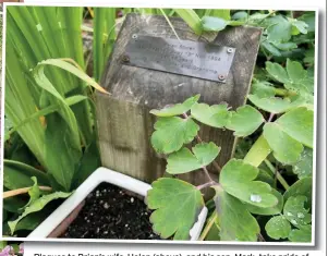  ??  ?? Plaques to Brian’s wife, Helen (above), and his son, Mark, take pride of place in the garden, which has been enjoyed by people over many years