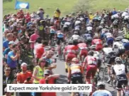  ??  ?? Expect more Yorkshire gold in 2019