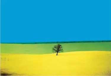  ??  ?? A destra, in alto: Paolo Spigariol, Arcobaleno tricolore, Jesolo, 2016
© Paolo Spigariol
A destra: Franco Fontana Landscape, Puglia, 1987 Franco Fontana©Puglia 1987 Courtesy Franco Fontana Studio
Sotto: alcune viste del percorso espositivo