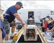  ?? ANDRES LEIVA / THE PALM BEACH POST ?? Big Dog Ranch Rescue volunteer Jason Gross steadies a pet carrier as it unloads at Palm Beach Internatio­nal Airport in February.