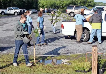  ??  ?? ABOVE: Berry student Jake Hager (left) carries a plant for installati­on in an infiltrati­on garden at Neel’s Landing.