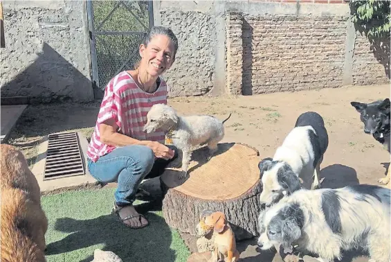  ??  ?? Su lugar en el mundo. Eliana Mantoani, con Limón, un caniche que rescató. En su casa tiene 15 animales que aún no fueron adoptados.