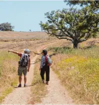  ?? Foto: Bernd F. Meier ?? Rudolfo Müller führt Wanderer durch das hügelige Alentejo im äußers ten Südwesten Portugals.