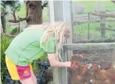  ?? ?? Lockie Maketoni (13) feeding the chickens.