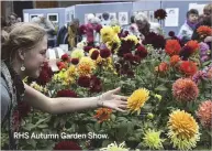  ??  ?? RHS Autumn Garden Show.