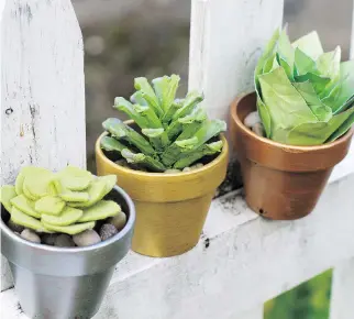  ?? HOLLY RAMER/THE ASSOCIATED PRESS ?? Faux succulents made from felt, left, a pine cone and painted paper can take the place of the real thing if you don’t have a green thumb. They all take a little skill to create.