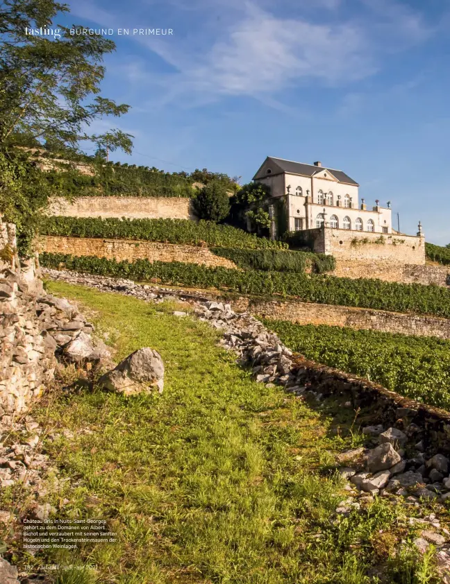  ??  ?? Château Gris in Nuits-saint-georges gehört zu dem Domänen von Albert Bichot und verzaubert mit seinen sanften Hügeln und den Trockenste­inmauern der historisch­en Weinlagen.