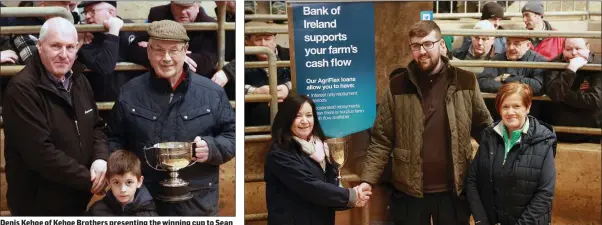  ??  ?? Denis Kehoe of Kehoe Brothers presenting the winning cup to Sean Tobin, 1st best two or more non-continenta­l butchers type heifer, pictured with Ciaran Cullen. Paula Carroll and Brenda Curran from Bank of Ireland presenting the overall champion cup to Aaron Whelan.