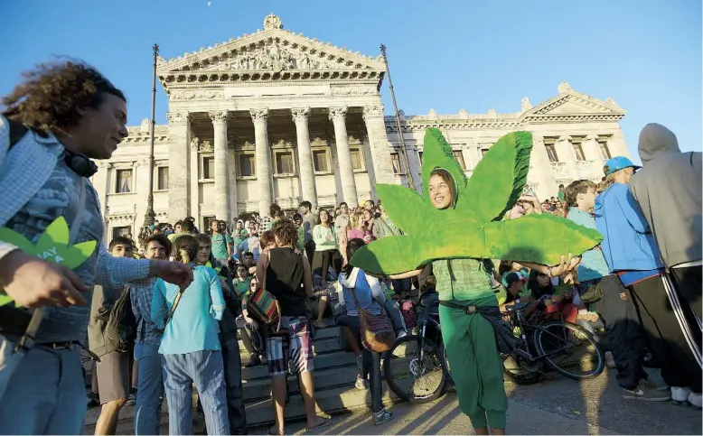  ??  ?? EN DICIEMBRE pasado, Uruguay aprobó legislació­n que convirtió al país en la primera nación que legaliza la marihuana.