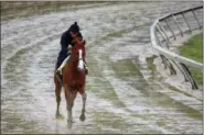  ?? PATRICK SEMANSKY — THE ASSOCIATED PRESS ?? Kentucky Derby winner Justify, with exercise rider Humberto Gomez aboard, gallops around the track, Thursday at Pimlico Race Course in Baltimore. The Preakness Stakes horse race is scheduled to take place Saturday.