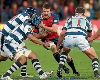  ?? DEREK FLYNN/STUFF ?? Alex Ainley’s back for another stint as the Tasman Makos’ captain.