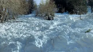  ??  ?? In quotaLa valanga che si è staccata ieri mattina a cima Mut in valle dei Mocheni. Cinque scialpinis­ti sono stati travolti, sono tutti salvi