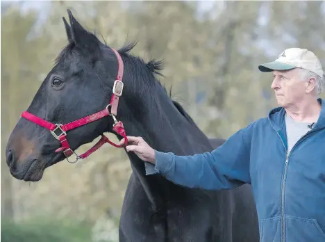  ?? GERRY KAHRMANN ?? Cliff Forrest, seen with his horse Mr. Mulliner, says he hasn’t “had a Christmas in six years” after a loan wiped out his finances.