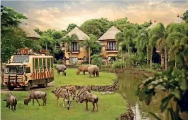  ?? ?? Mara River Safari Lodge Jalan Bypass Prof. Dr. Ida Bagus Mantra Km.19,8, Bali Tel: +62 361 479 1700 mararivers­afarilodge.com