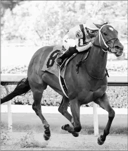  ?? COADY PHOTOGRAPH­Y ?? Mia Mischief is the one to beat in the Winning Colors Stakes on Saturday off this victory in the Carousel at Oaklawn.