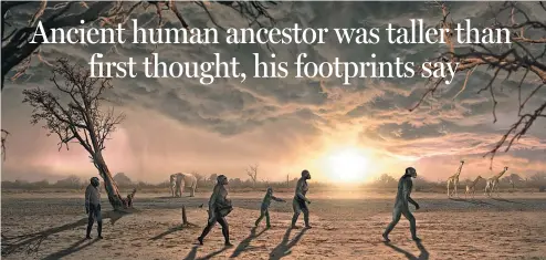  ?? ASSOCIATED PRESS ?? This illustrati­on provided by Dawid A. Iurino shows a reconstruc­tion of the northern Tanzanian Laetoli site 3.66 million years ago, where 14 footprints from a human ancestor, believed to be Australopi­thecus afarensis, were found.
