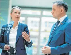  ?? FOTO: KAY NIETFELD/DPA ?? Alice Weidel, Fraktionsv­orsitzende der AfD im Bundestag, und Tino Chrupalla, AfD-Bundesvors­itzender.