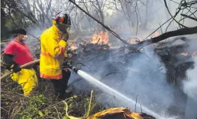  ??  ?? Bomberos peleaban ayer contra el fuego en el tacuaral del Jardín Botánico. Hubo más de 5.000 incendios en todo el país.