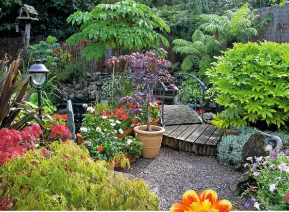  ??  ?? CREATIVE CONTRASTS (clockwise from below left) Beyond the tropical area lies a lawn with wavy-edged flowerbeds; Alan’s well-stocked veg plot with bean arch; seats among the exotics; a bridge and raised deck winds between a leafy fatsia, tree fern and tetrapanax; hydrangea and ophiopogon in the black and white bed