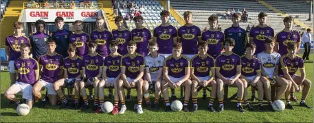  ??  ?? The Wexford Minor footballer­s who experience­d constrasti­ng fortunes in their two games last week.
