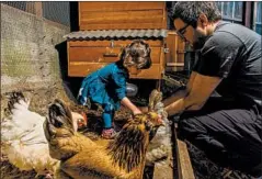  ??  ?? Matt Van Horn, who calls himself an “entreprene­urial futurist,” and his 2-year-old daughter, Sadie, feed their chickens in a coop located below their home’s deck.