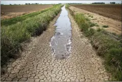  ?? JAE C. HONG / ASSOCIATED PRESS FILE (2014) ?? Irrigation water runs along a driedup ditch between rice farms in Richvale, Calif., on May 1, 2014.