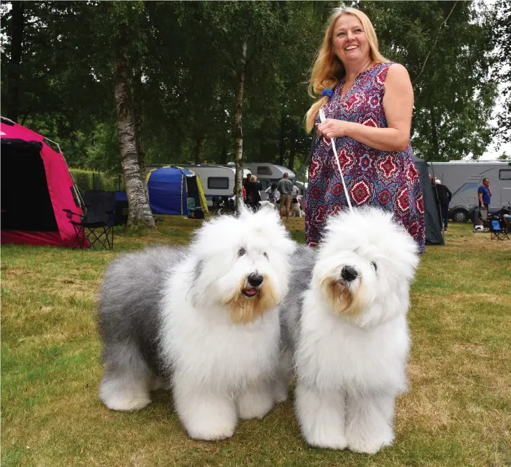  ?? Bild: OLOF SVAHN ?? PÄLS. Åsa Eriksson med hundarna Frankie och Candy, båda av rasen old english sheepdog.