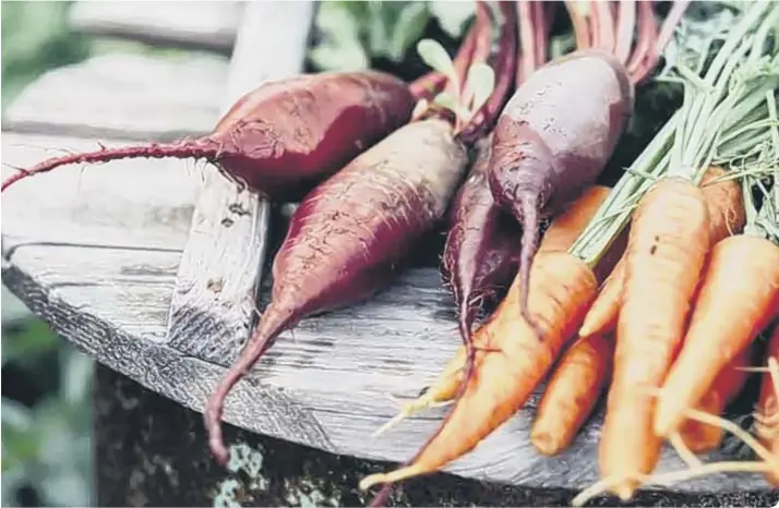  ?? ?? Beetroot and carrots are easy to grow and harvest within a matter of weeks