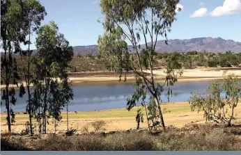  ??  ?? Die droogte in die Wes-Kaap het die aandag van ekoloë opnuut gevestig op die bedreiging wat indringerp­lante vir watertoevo­er na opgaardamm­e inhou.