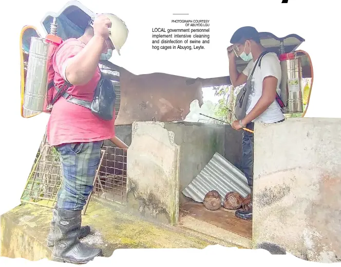  ??  ?? LOCAL government personnel implement intensive cleaning and disinfecti­on of swine and hog cages in Abuyog, Leyte.