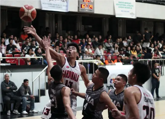  ?? Photo by Jean Nicole Cortes ?? POWER. University of Baguio Cardinals big man Vince Ahron Sibbaluca muscles his way to the basket against the tight defense of the gritty Philippine Military Academy Cavaliers during their game last week.