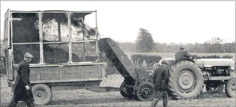  ?? Pictures: Peter Small. ?? Above — A Fordson Major operates a Wild Thwaites forage harvester during a demonstrat­ion in the 1950s; below — a Claas Jaguar self-propelled forage harvester filling a silage trailer at Teasses, near Leven, in 2003.