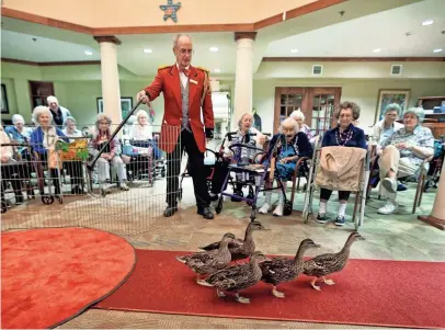  ??  ?? Peabody Duckmaster and local historian Jimmy Ogle marches the Peabody ducks through the lobby during a visit to Ave Maria Assisted Living Home in Bartlett. JIM WEBER/THE COMMERCIAL APPEAL